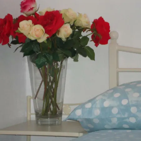 Apartment Maria Nea Karvali